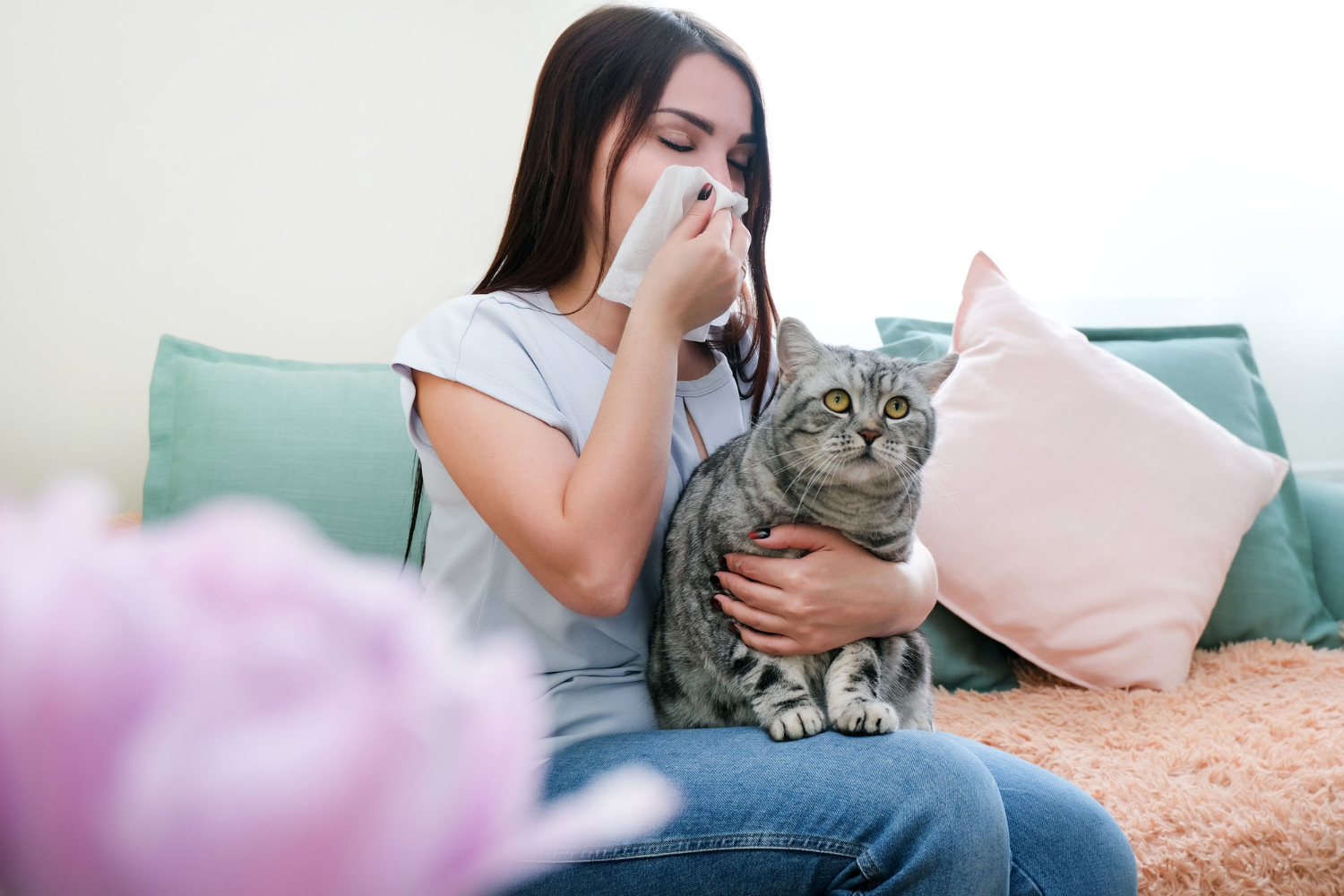állatszőr allergia