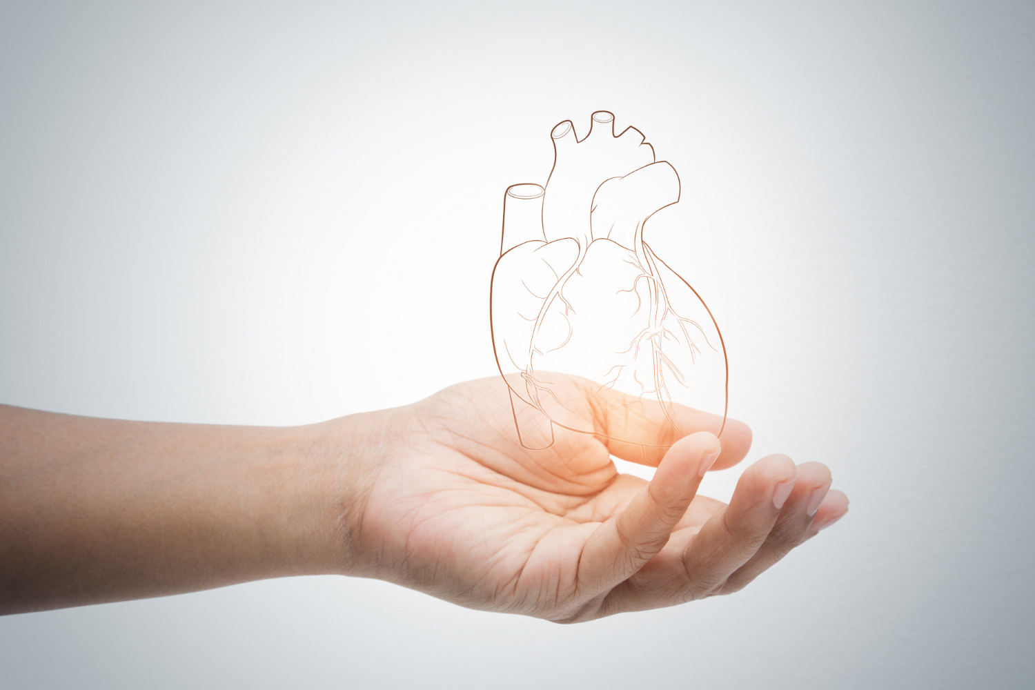 egészség megnagyobbodott szív mik az okai