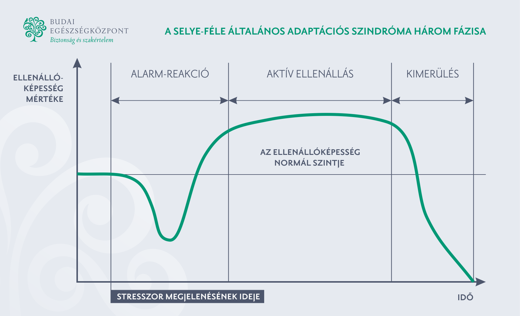 A selye-féle általános adaptációs szindróma három fázisa