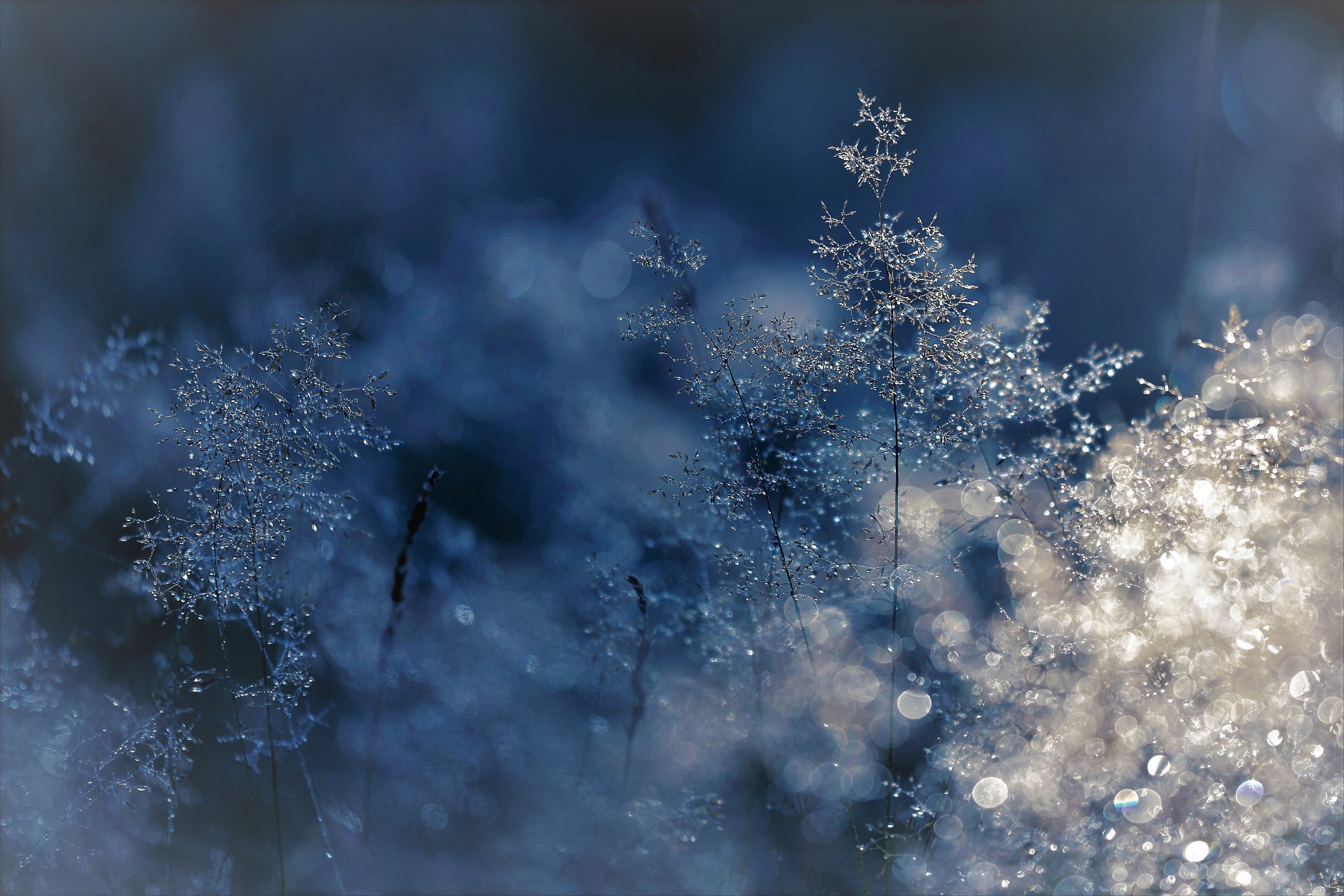 mindfulness-meditacios-csoport-indul